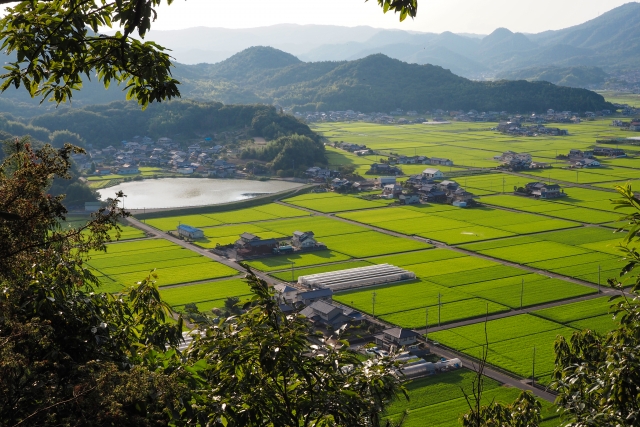 姫路市北部の市街化調整区域での査定！