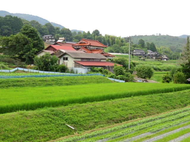 【相続空き家】放棄か売却か?後悔しないための判断ポイント