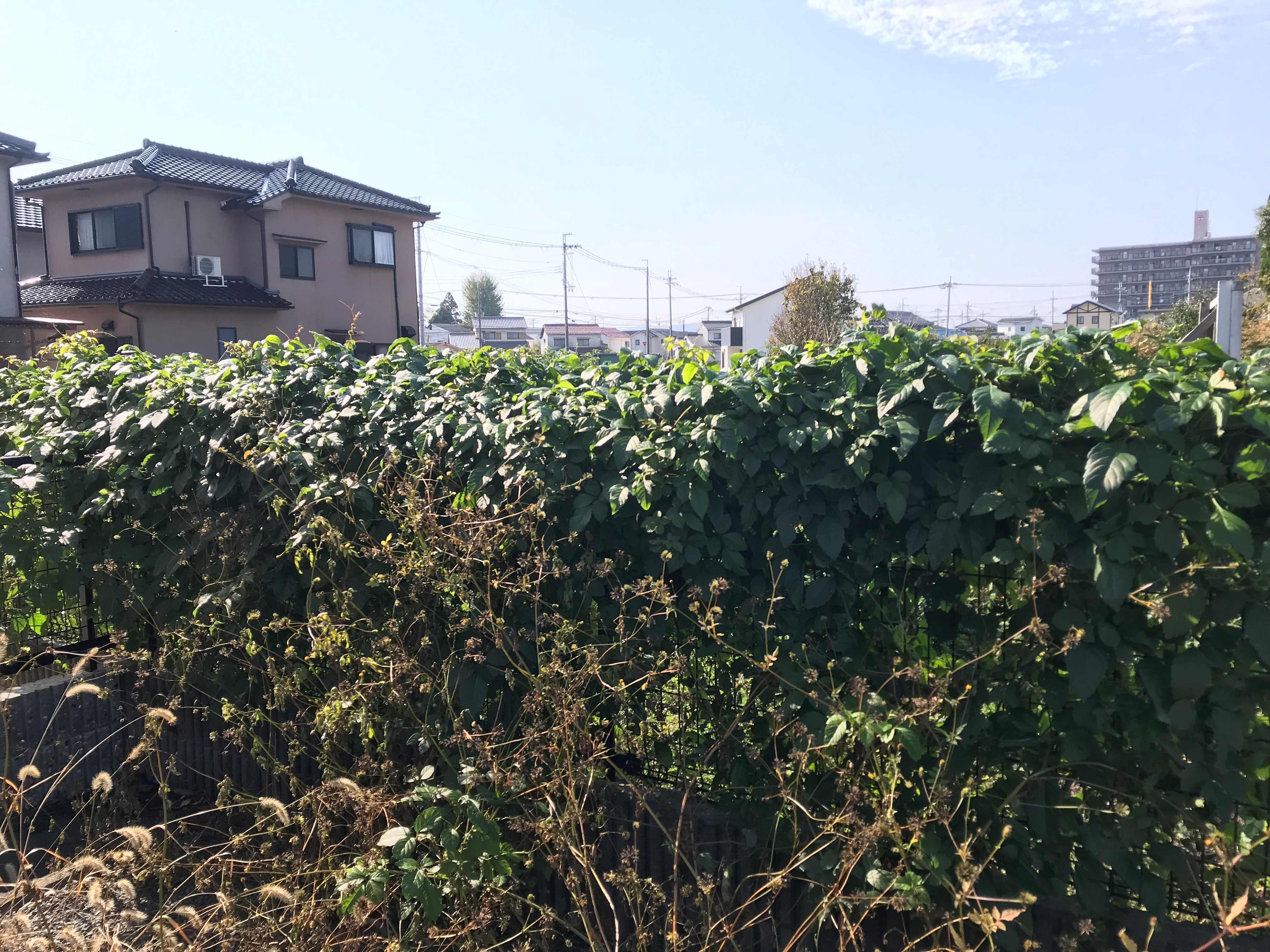 太子町鵤　当社管理ハイツにて雑草除去工事の件